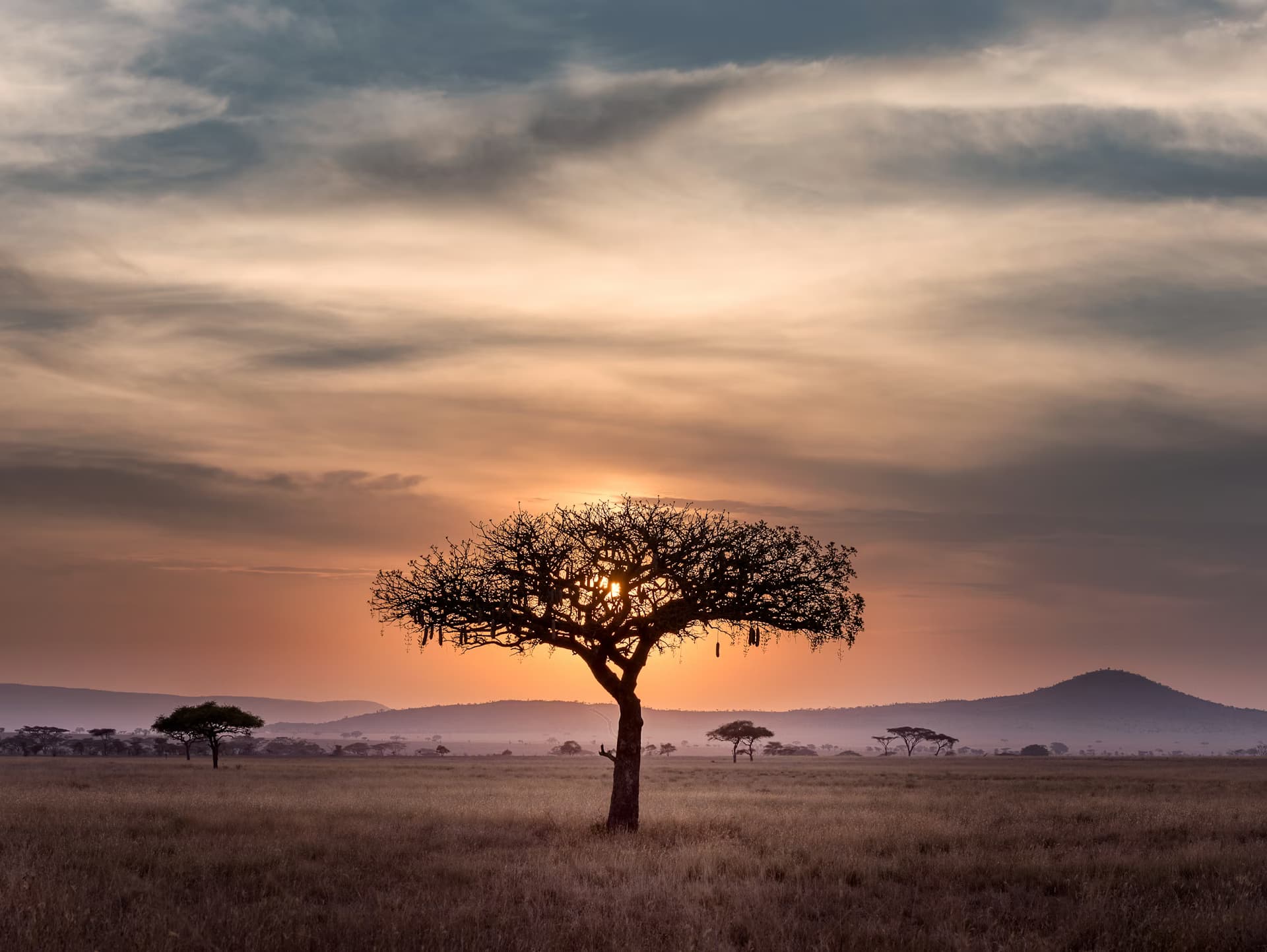Maasai Mara